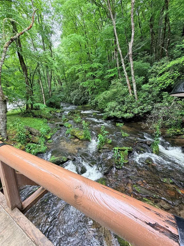 94 Bear Creek Cove Topton, NC 28781