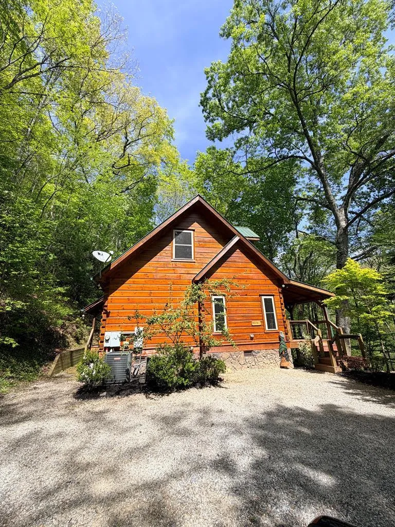 94 Bear Creek Cove Topton, NC 28781