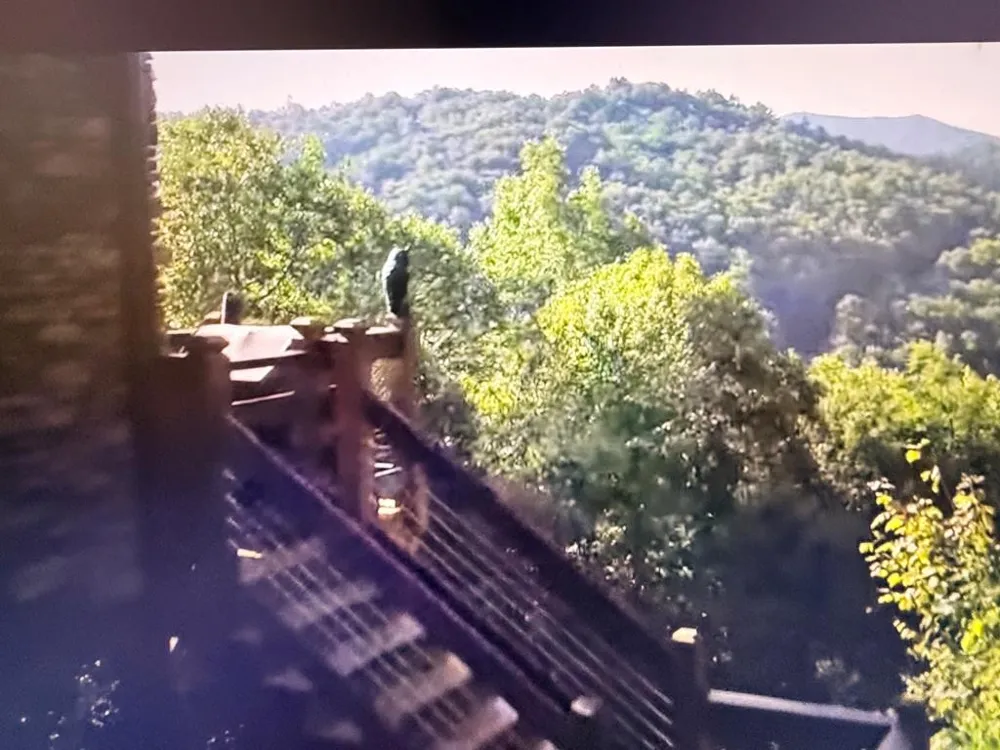 359 Whispering Wind Trail Topton, NC 28781