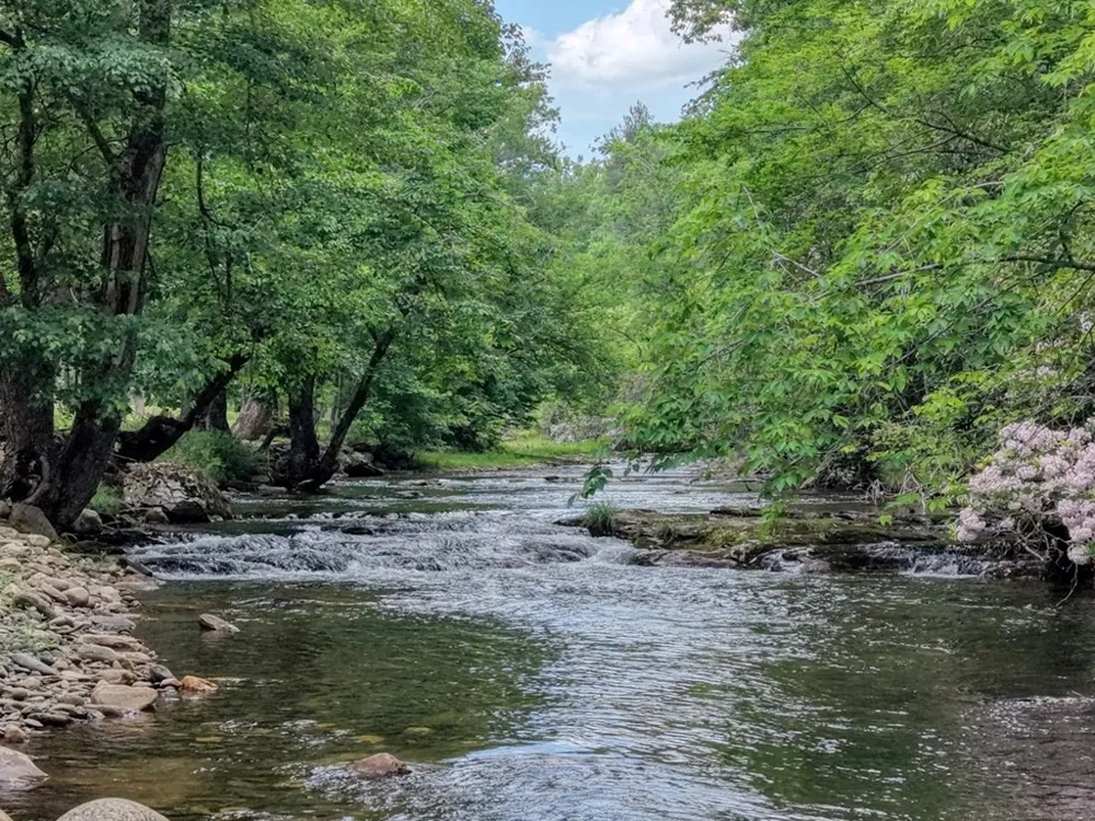 515 Barlow Fields Drive Hayesville, NC 28904