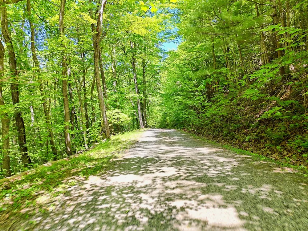 1127 Burch Branch Road Hiawassee, GA 30546