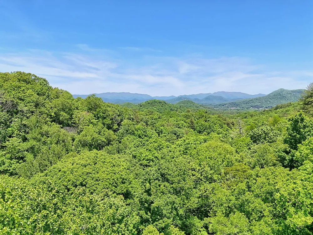 1127 Burch Branch Road Hiawassee, GA 30546