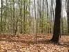 Lot 25 Laurel Mountain Drive