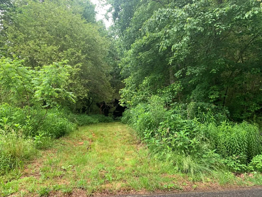 805 Bethabara Road Hayesville, NC 28904