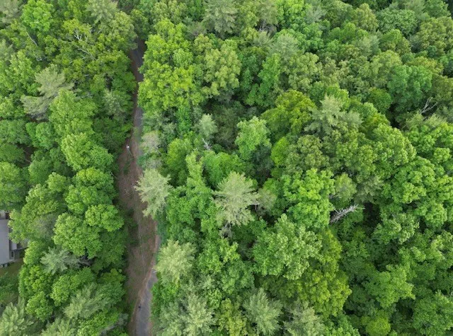 Lot 15 Dogwood Trail Robbinsville, NC 28771