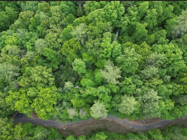 Lot 15 Dogwood Trail Robbinsville, NC 28771