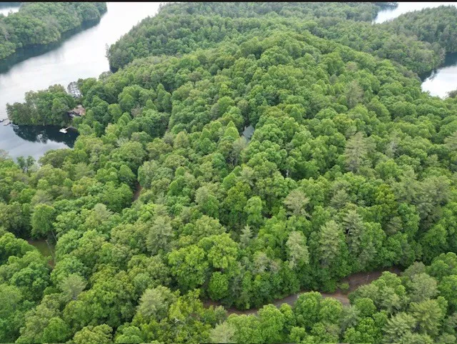 Lot 15 Dogwood Trail Robbinsville, NC 28771
