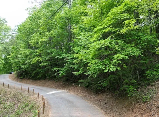 Lot 13 Dogwood Trail Robbinsville, NC 28771