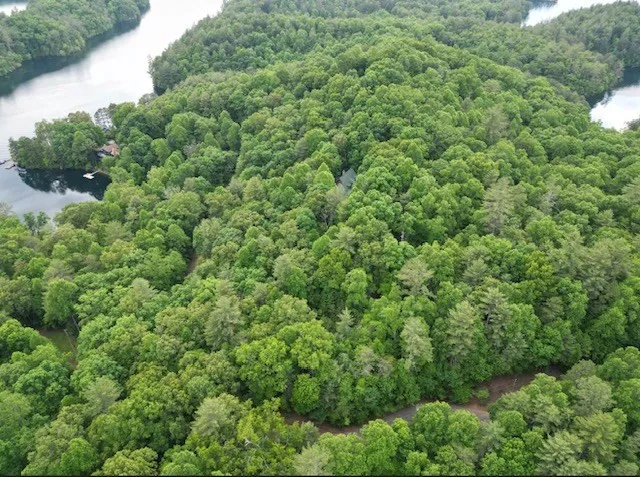 Lot 13 Dogwood Trail Robbinsville, NC 28771