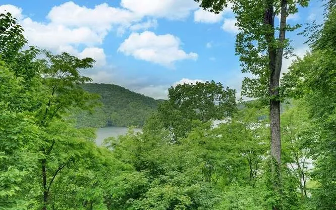 135 Ridge Top Drive Topton, NC 28781
