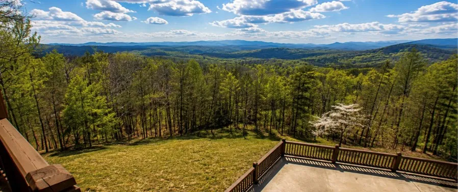 486 Henderson Lane Mineral Bluff, GA 30559