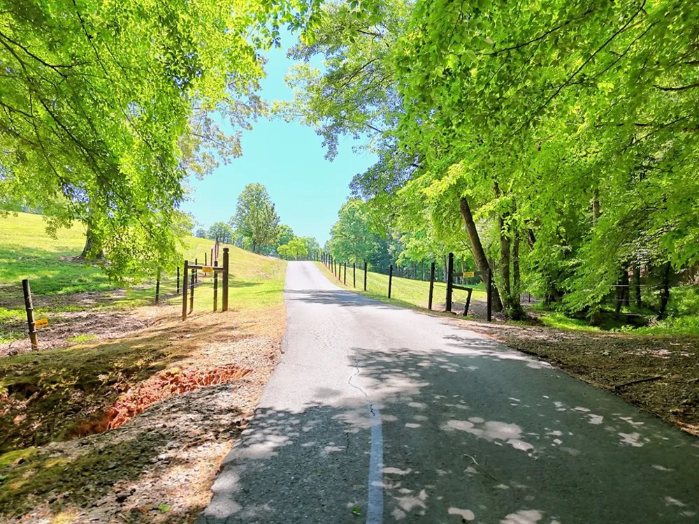 1193 Pine Log Road Warne, NC 28909