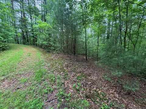 Lot 11 Horse Camp Drive