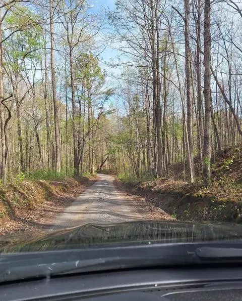 180 Walker Road Tellico Plains, TN 37385