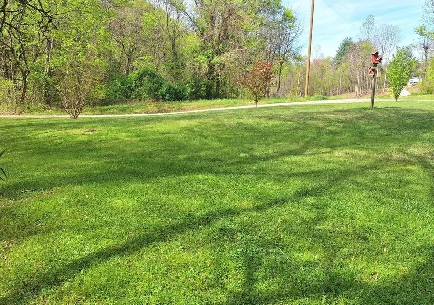180 Walker Road Tellico Plains, TN 37385