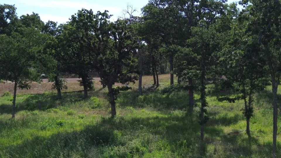 30 Pr 5882a Jewett, TX 75846