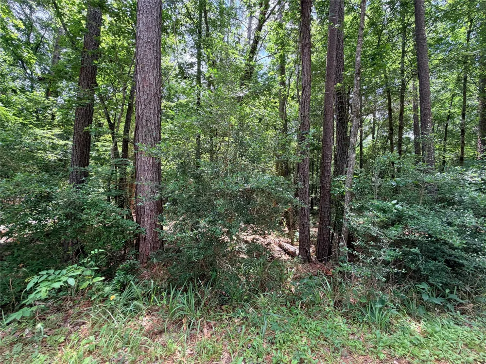 962 Fm 256 E Woodville, TX 75979