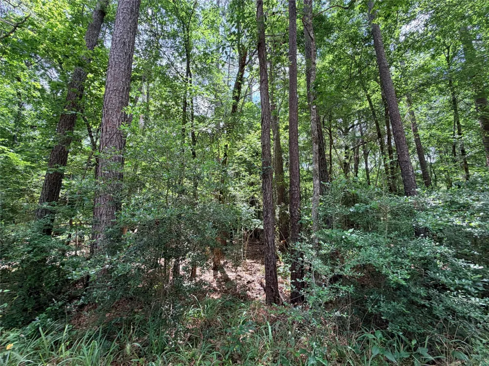 962 Fm 256 E Woodville, TX 75979