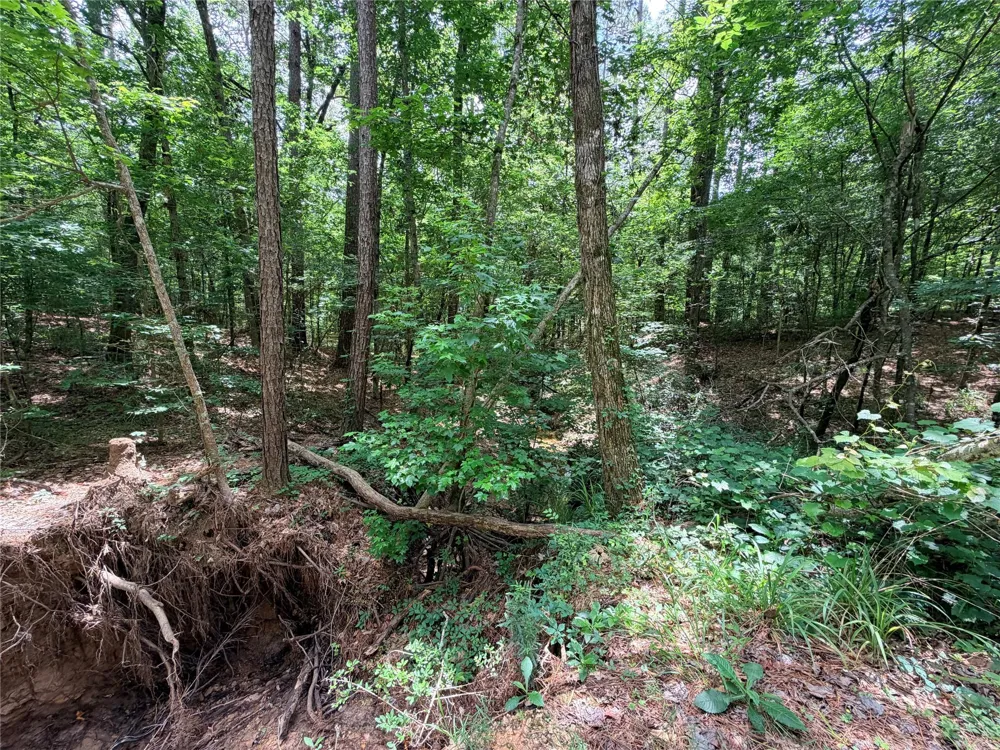 962 Fm 256 E Woodville, TX 75979