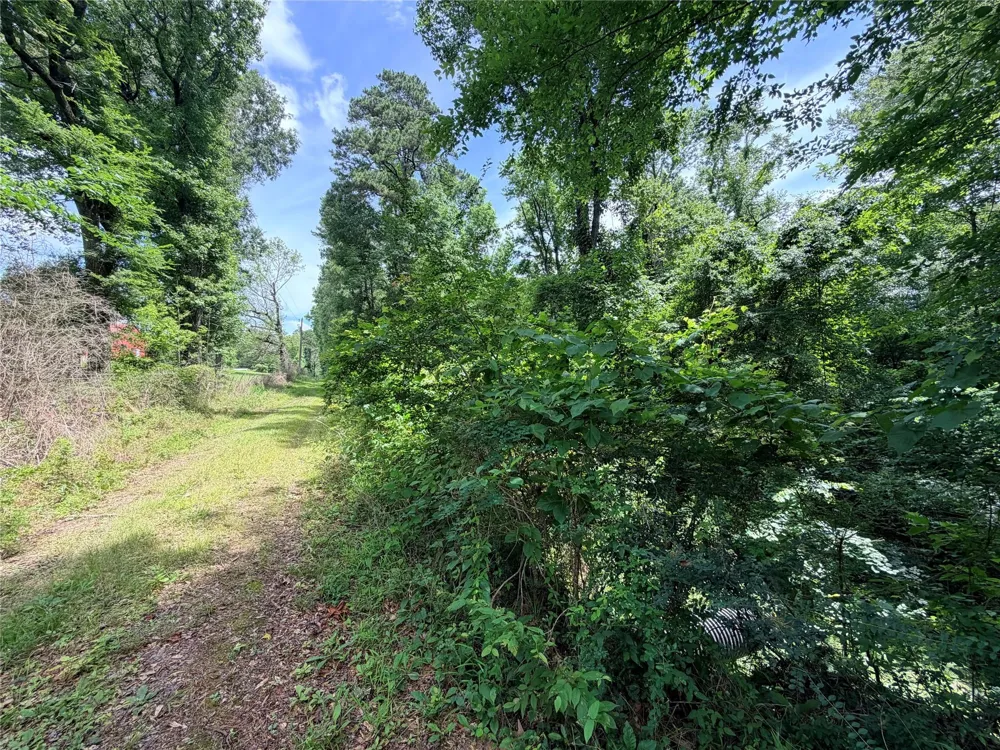 962 Fm 256 E Woodville, TX 75979