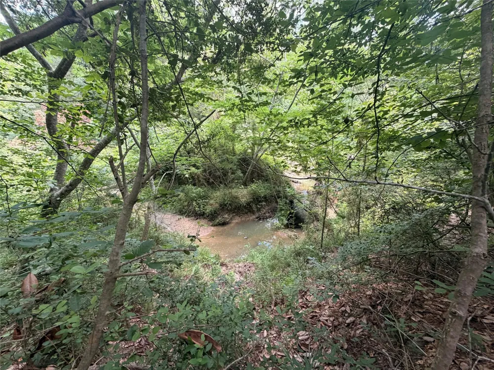 962 Fm 256 E Woodville, TX 75979