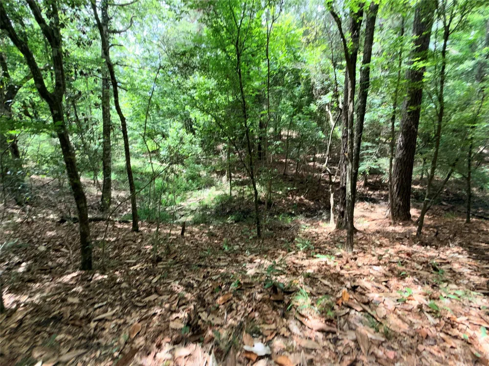 962 Fm 256 E Woodville, TX 75979