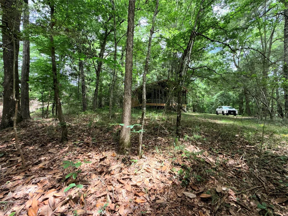 962 Fm 256 E Woodville, TX 75979