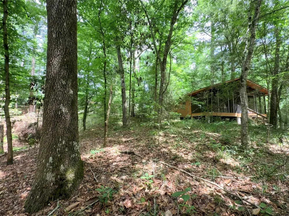 962 Fm 256 E Woodville, TX 75979