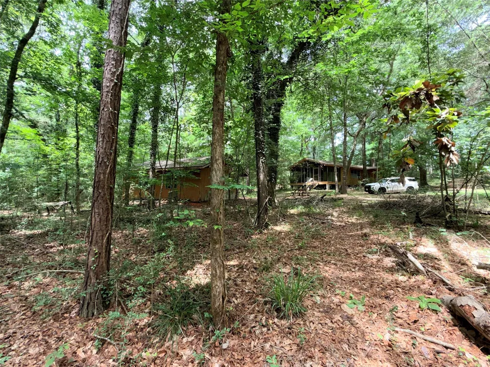 962 Fm 256 E Woodville, TX 75979