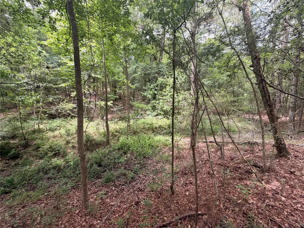 962 Fm 256 E Woodville, TX 75979