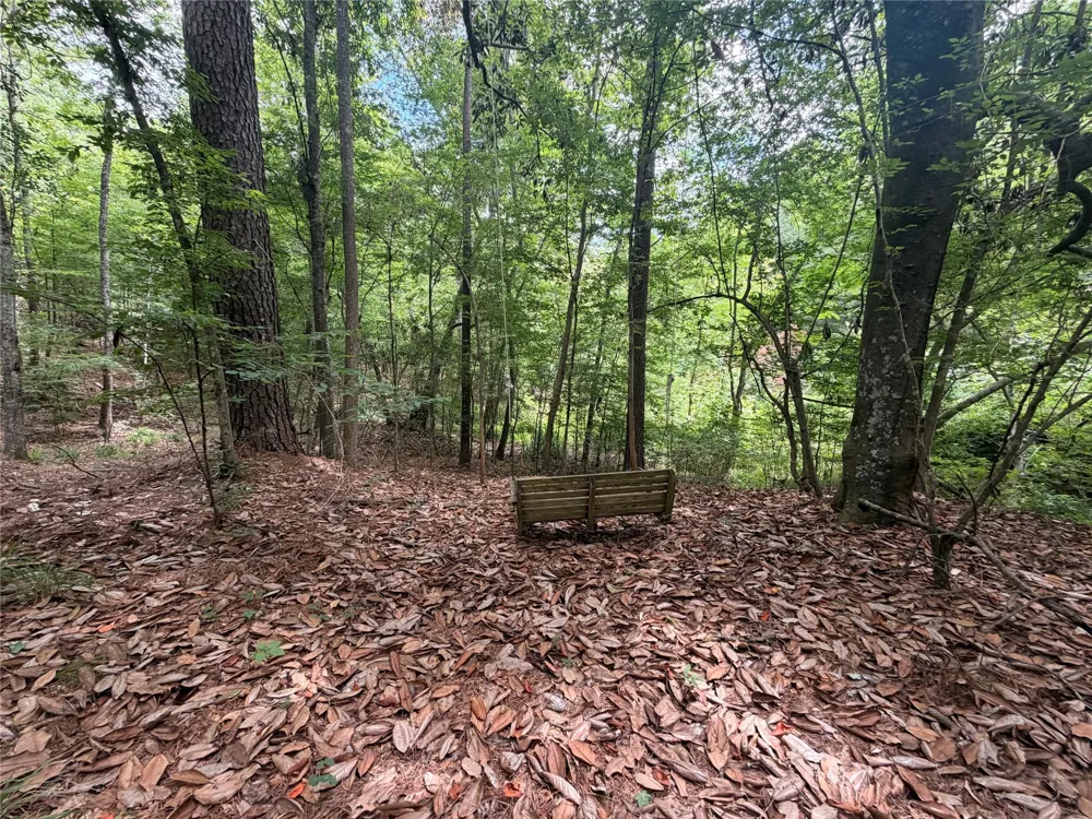 962 Fm 256 E Woodville, TX 75979