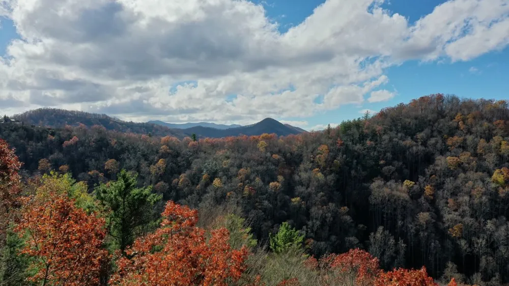 324 Azalea Ridge Topton, NC 28781