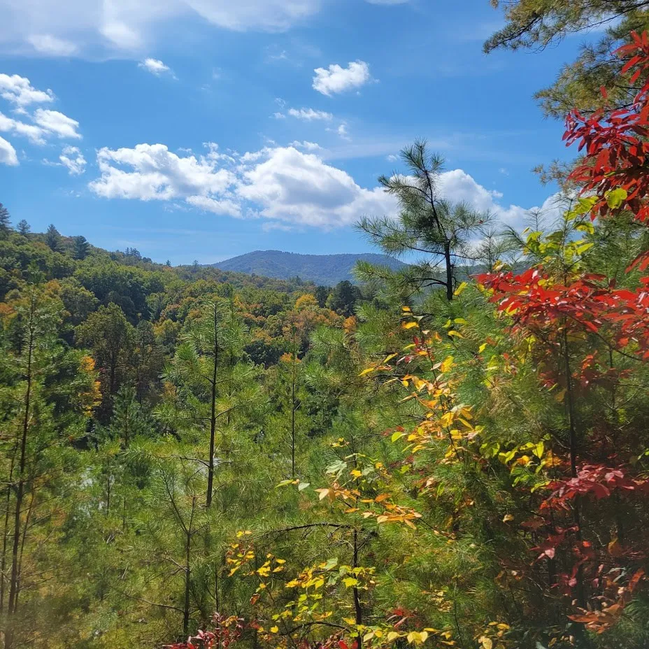 3.38 Long Creek Robbinsville, NC 28771