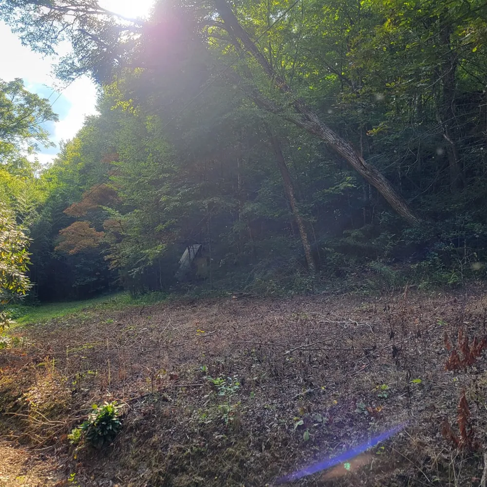3.38 Long Creek Robbinsville, NC 28771