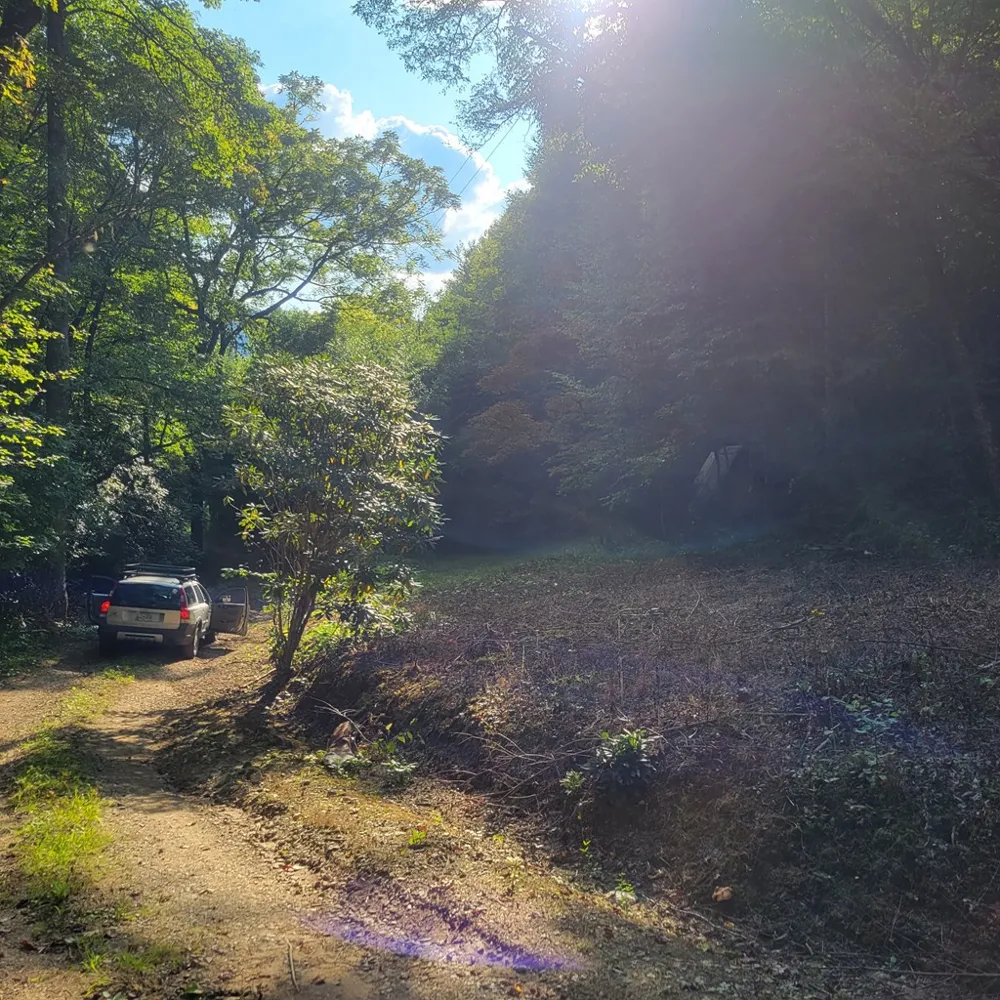 3.38 Long Creek Robbinsville, NC 28771