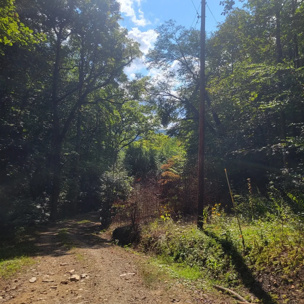 3.38 Long Creek Robbinsville, NC 28771