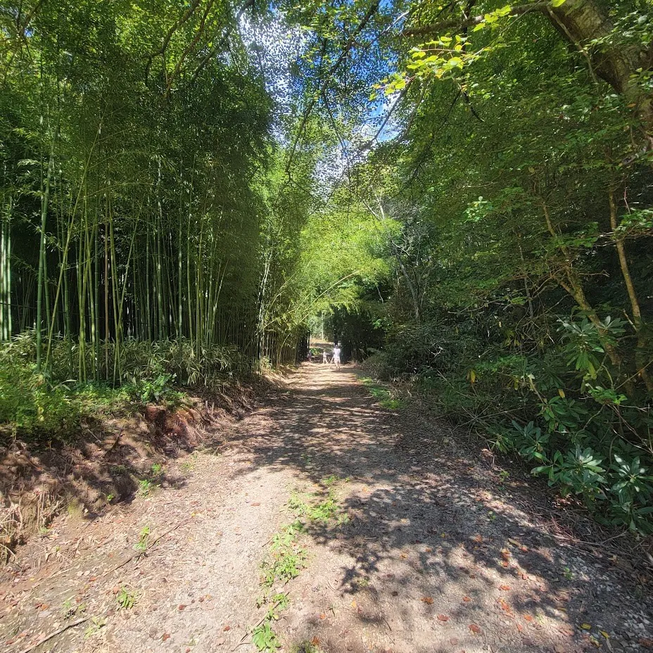 3.38 Long Creek Robbinsville, NC 28771