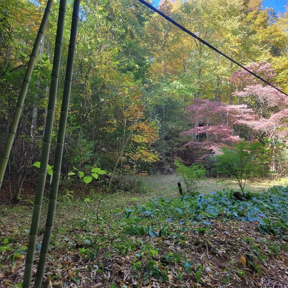 3.38 Long Creek Robbinsville, NC 28771