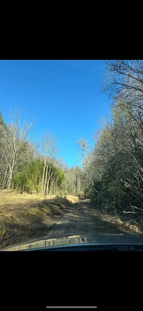 3.38 Long Creek Robbinsville, NC 28771