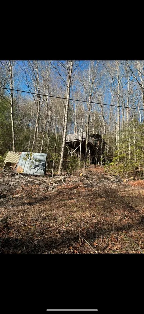 3.38 Long Creek Robbinsville, NC 28771