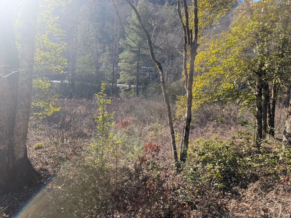 Lot 3 Riverview Robbinsville, NC 28771