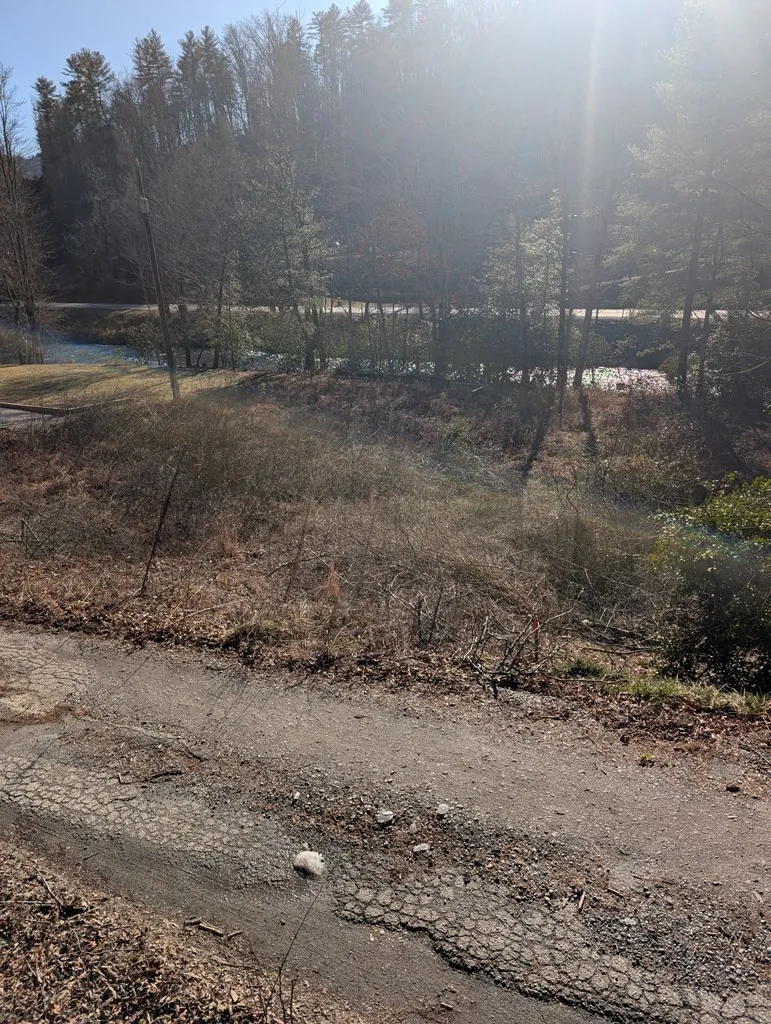 Lot 3 Riverview Robbinsville, NC 28771