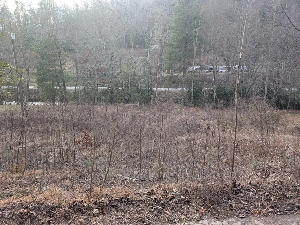 Lot 3 Riverview Robbinsville, NC 28771