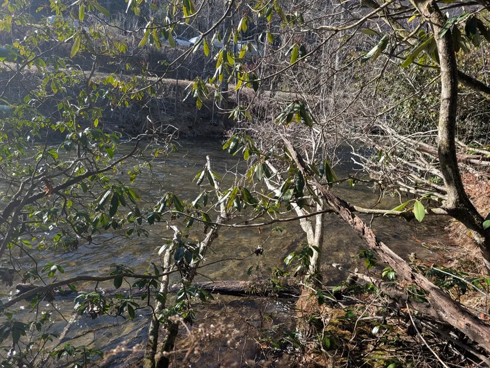 Lot 3 Riverview Robbinsville, NC 28771