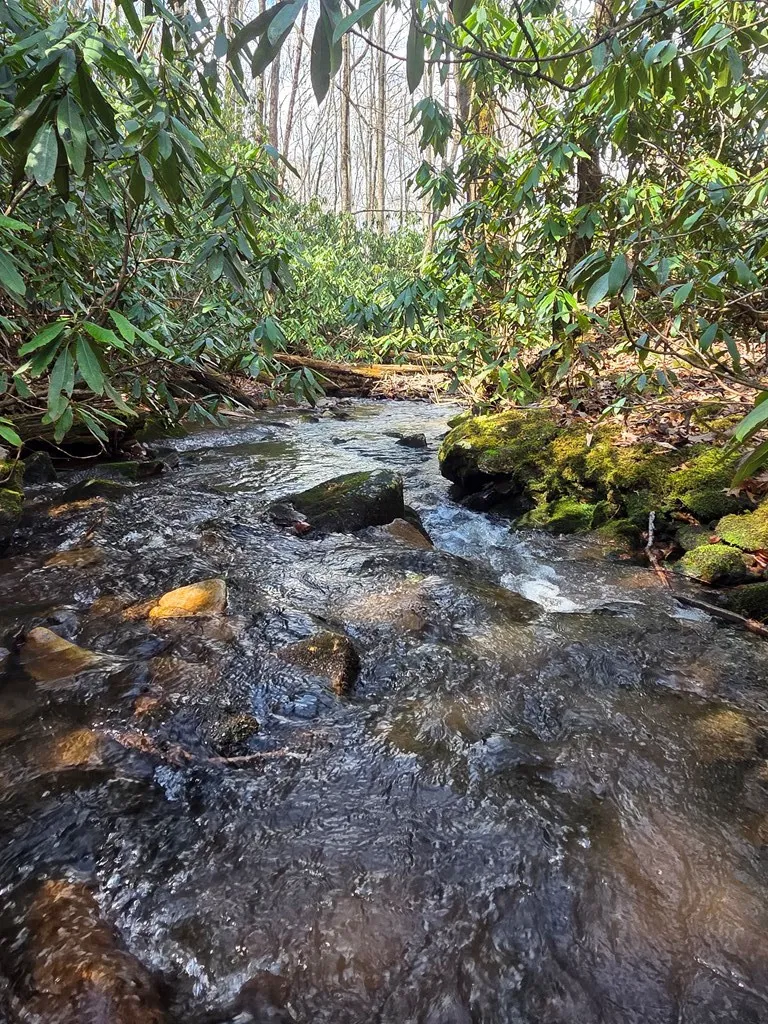 1104 East Mill Creek Road Robbinsville, NC 28771