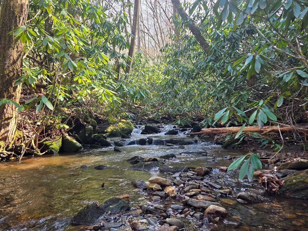 1104 East Mill Creek Road Robbinsville, NC 28771
