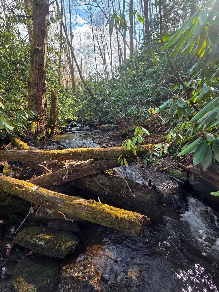 1104 East Mill Creek Road Robbinsville, NC 28771