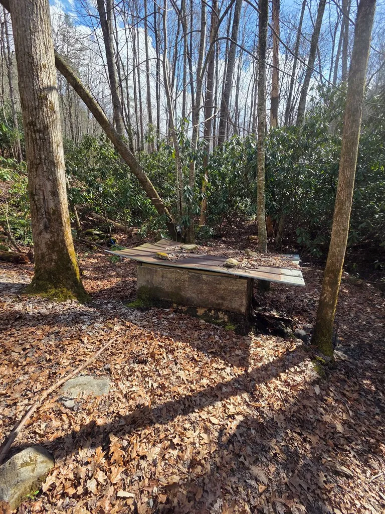 1104 East Mill Creek Road Robbinsville, NC 28771