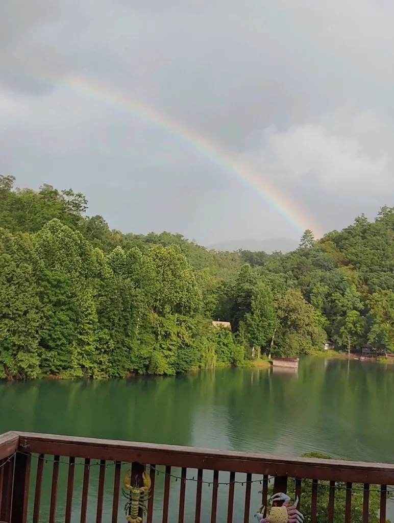 238 Lakeview Drive Almond, NC 28702