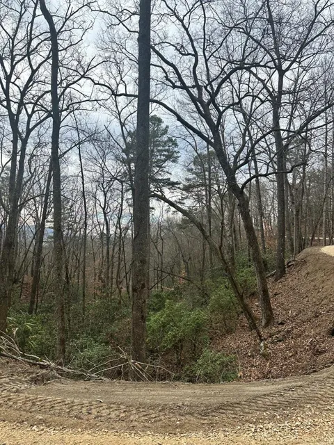 0 Tatham Gap Road
